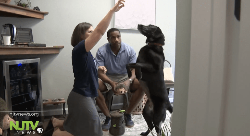 NJTV News: How one nonprofit helps cover the costs of pets’ medical care