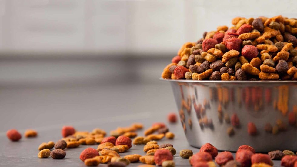 Multicolored dog kibble in a stainless steel bowl, representing a balanced diet with added dietary supplements for pets