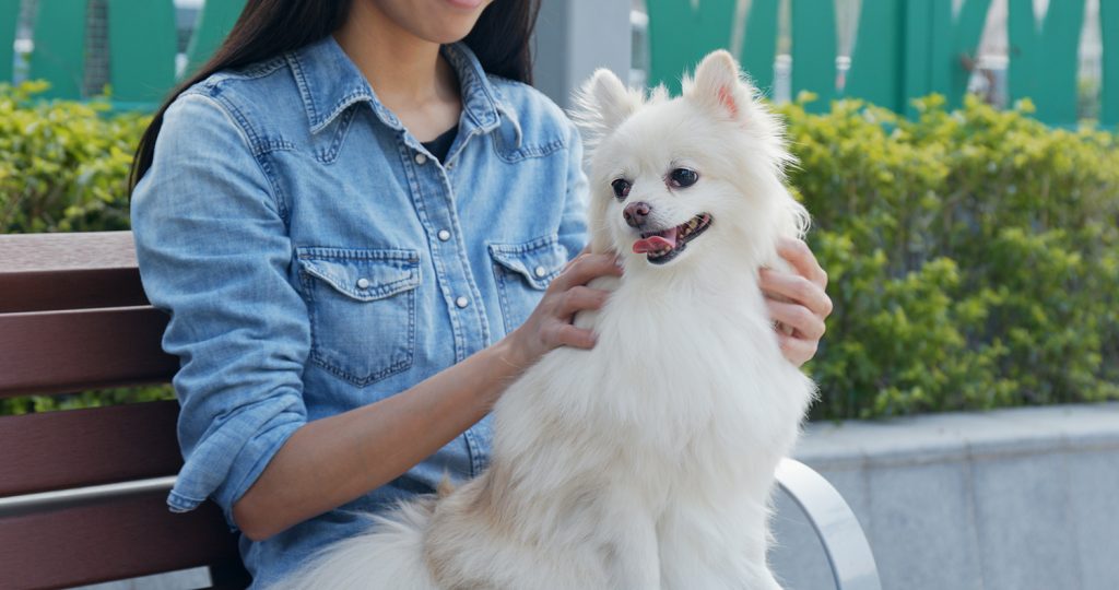 Woman holding her dog, symbolizing integrative approaches to boost animal health in 2025.