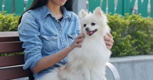Woman holding her dog, symbolizing integrative approaches to boost animal health in 2025.