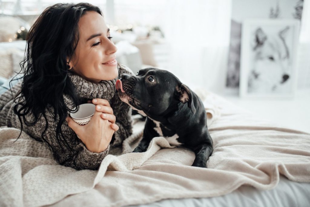 expert and innovative pet care in New Jersey